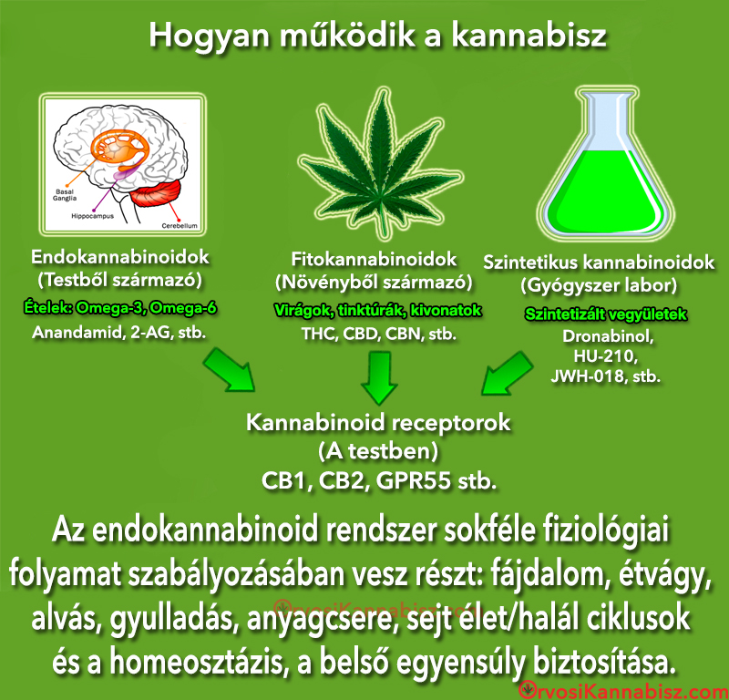 Kannabisz – Wikipédia
