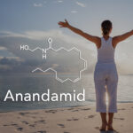 Endokannabinoid profil: Anandamid