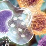 A kannabinoidok és kemoterápia kombinációja plazmasejt daganat ellen
