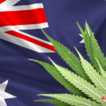 Ausztrália legalizálja az orvosi kannabisz termesztést
