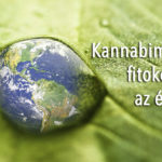 Kannabimimetikus fitokemikáliák az étrendben – evolúciós kapcsolat az étrend kiválasztáshoz és a metabolikus stressz adaptációhoz?