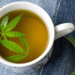 Tanulmány: A kannabisz tea hatásos krónikus fájdalom kezelésére