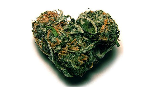 zöld szív holisztikus egészségügyi orvosi marihuána)