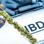 Tanulmány: A CBD csökkenti a vérnyomást | Magyar Orvosi Kannabisz Egyesület