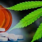 THC opioid függőség kezelésére és fájdalomcsillapításra