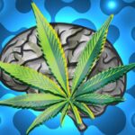 Kannabinoidok használata agydaganat esetén