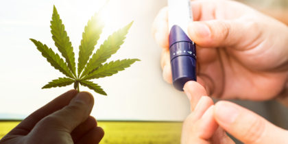 Kannabisz a diabétesz kezelésére
