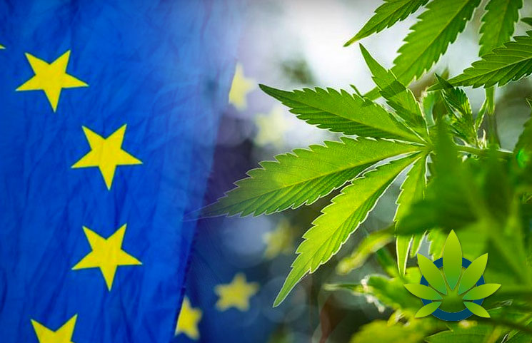 Az Új Élelmiszer CBD lesz az európai sztenderd | Magyar Orvosi Kannabisz Egyesület