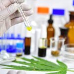 Klinikai vizsgálat: Egyes CBD termékek használata pozitív drogtesztet eredményezhet, a tiszta CBD nem
