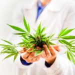 Az új kannabinoid kutatások lehetőséget mutatnak a célzott gyógyszeres kezelésekre