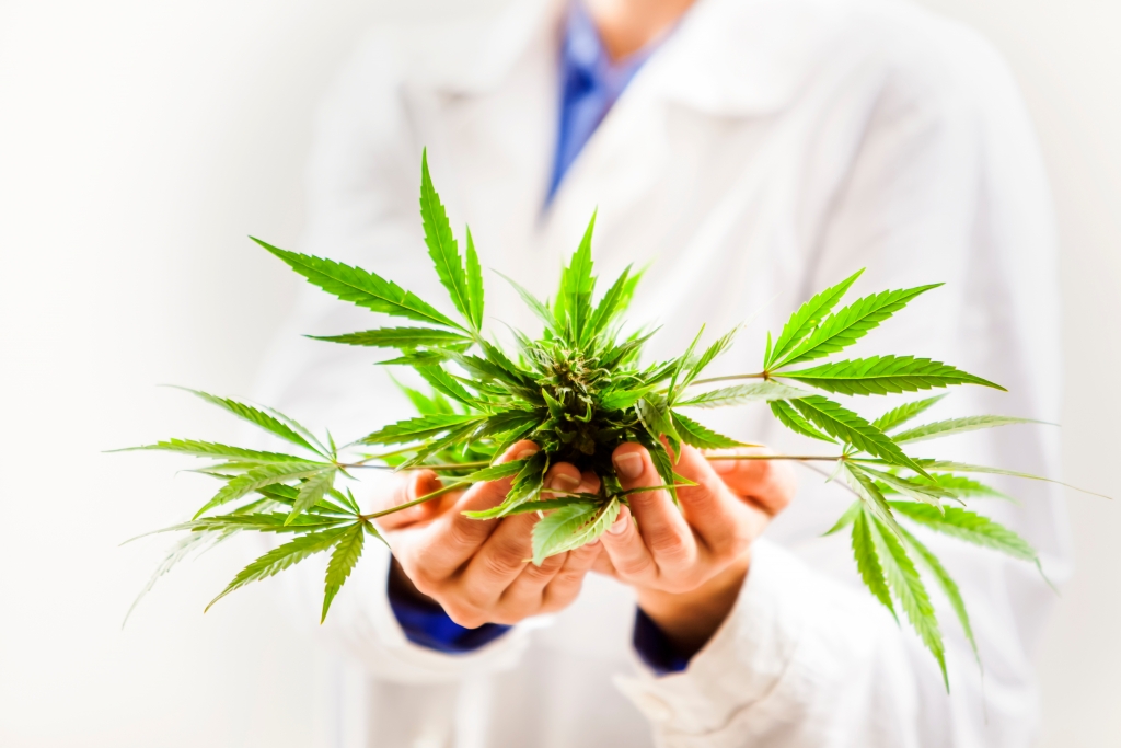 Az új kannabinoid kutatások lehetőséget mutatnak a célzott gyógyszeres kezelésekre | Magyar Orvosi Kannabisz Egyesület