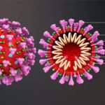 Az IACM igazgatóságátnak nyilatkozata a jelenlegi koronavírus-járványról és a kannabinoidok használatáról