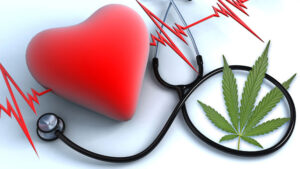 A marihuána így hat a szívre - HáziPatika