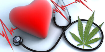 A marihuána veszélyezteti a szív egészségét zab és szív egészsége