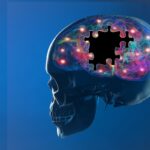 Az Alzheimer-kór és az endokannabinoid rendszer