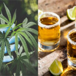 Az orvosi kannabiszhoz való hozzáférés csökkentette az alkoholeladást Kanadában