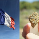 Franciaország hatályon kívül helyezi a CBD virág értékesítésének tilalmát