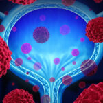 A kannabinoidok hatékonysága húgyhólyagrákos sejtek ellen