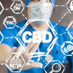 Gyógyszerkölcsönhatások a CBD-t használó emberekben: Van ok az aggodalomra?