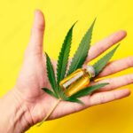 A CBD hatékony egy ritka betegség tüneteinek kezelésében