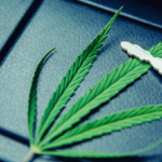 Az orvosi kannabisz nem befolyásolja negatívan a vezetési teljesítményt tapasztalt betegeknél
