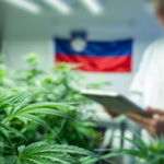 A magyar nemzeti közösség képviselői is jóváhagyták a történelmi jelentőségű orvosi kannabisz szabályozást Szlovéniában
