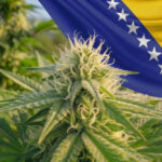 Bosznia-Hercegovina legalizálta az orvosi kannabiszt