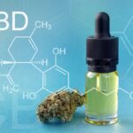 Klinikai vizsgálat: A CBD olaj csökkentheti az autista gyermekek szorongását és a szülők stresszét