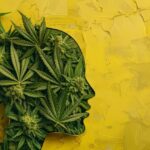 Johns Hopkins Egyetem: A kannabiszhasználat jelentősen csökkentheti a szorongást és a depressziót