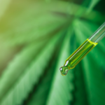 A CBD növelte az anorexiás betegek BMI-jét egy klinikai vizsgálatban
