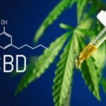 Hatósági ellenőrzések a CBD-piacon: nem a CBD, hanem a szabálytalan forgalmazás jelent problémát