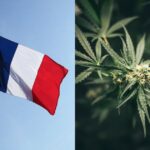 Franciaország közelebb került az orvosi kannabisz bevezetéséhez, a kísérleti program nyomán csökkent az opioidhasználat