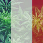 A francia orvosi kannabisz kísérleti program „pozitív” hatásokat mutat