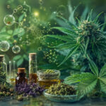 A THC-n és a CBD-n túl: 750 vegyület, amely átírhatja a kannabisz tudományát