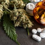 Klinikai vizsgálat: az orvosi kannabisz csökkentheti az opioidhasználatot és javíthatja az életminőséget